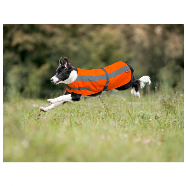 Flecta Dog Jacket Orange